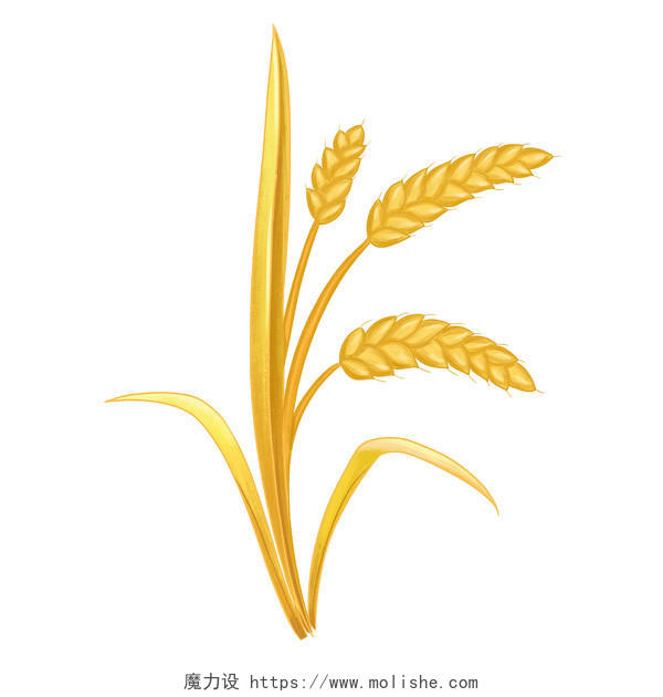 世界粮食日手绘麦子粮食PNG素材秋天粮食